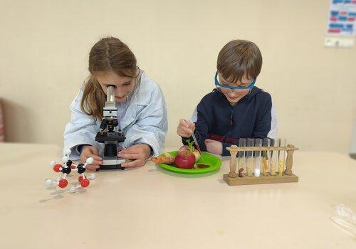 Expériences alimentation