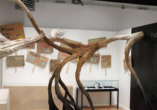 Naturellement? exposition temporaire 2026 de l'écomusée de l'Avesnois