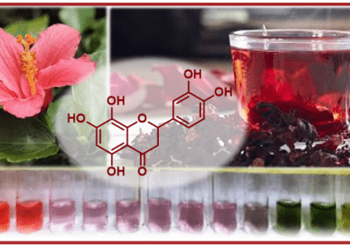 Fleur d'hibiscus rose, infusion rouge et série de tubes à essai allant du rouge au vert, illustrant le changement de couleur de l'hibiscus selon l'acidité.