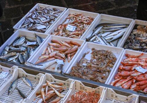 Etal de poissons