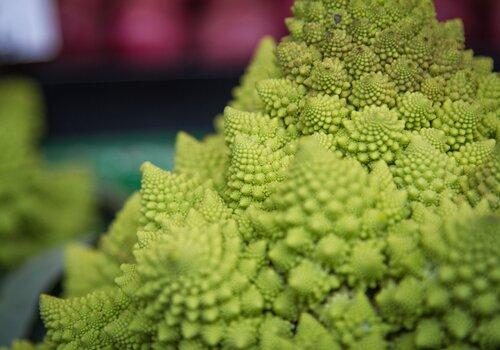 Chou romanesco 