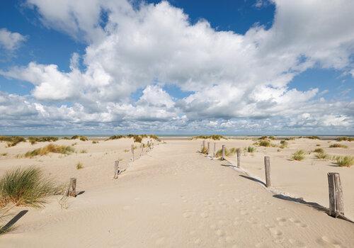 Le Parcours Fete de la Science sur le Littoral