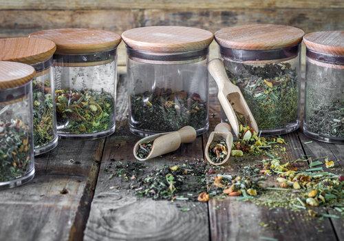 Plantes médicinales