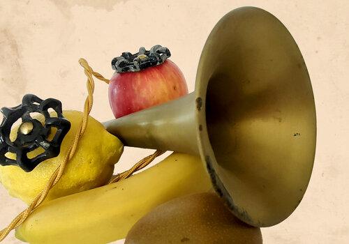 Atelier : Création d'un fructophone
