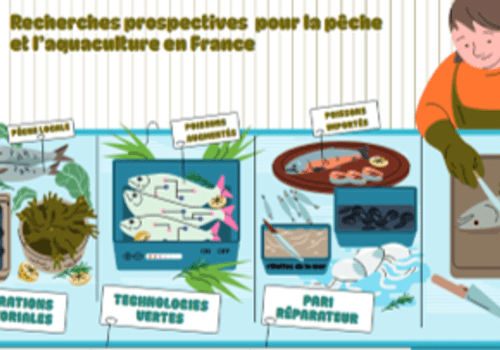 Six scénarios d'approvisionnement hexagonal en produits de la pêche et de l'aquaculture en 2050 dans un contexte de neutralité carbone
