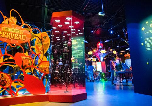 Exposition "Incroyable cerveau"