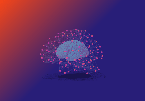 Network neuroscience
