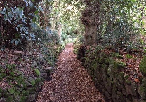 Au fil des chemins creux