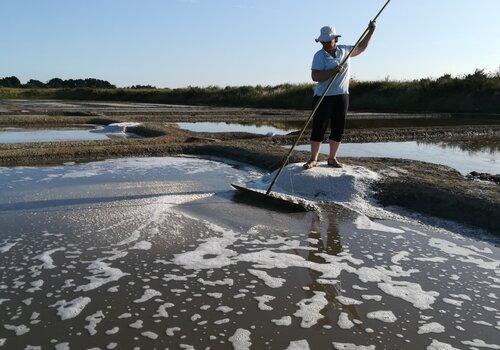 Photo Les Marais Salants de Saint-Armel