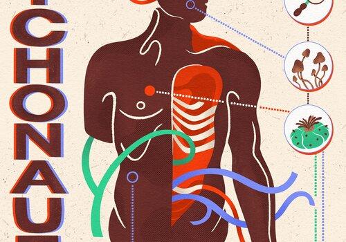 Spectacle de vulgarisation scientifique sur les psychédéliques