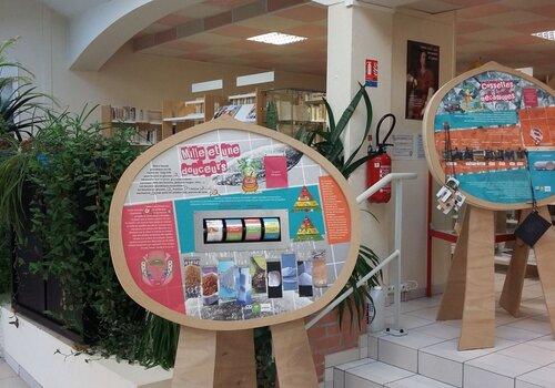 Exposition betterave