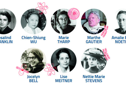 8 photographies de femmes scientifiques avec, accolé, le logo de la science dans laquelle elle se sont distinguées