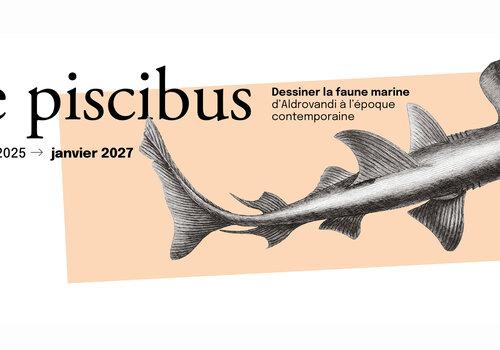 De piscibus