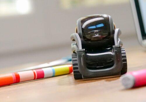Petit robot