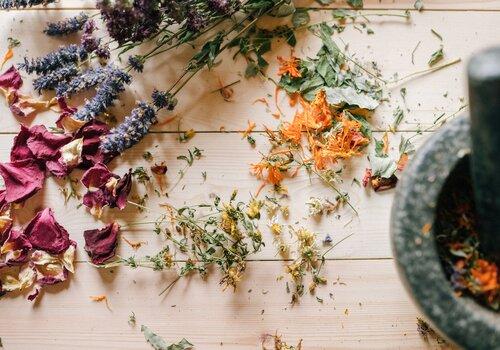 Plantes aromatiques