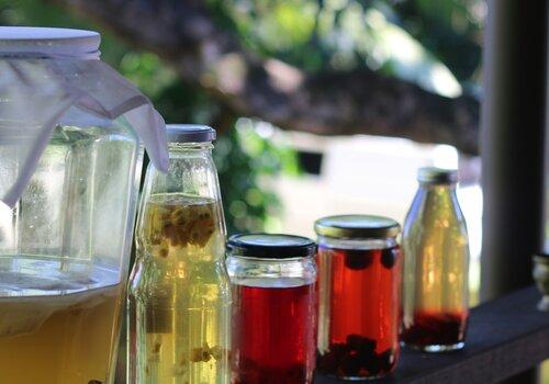 Kombucha