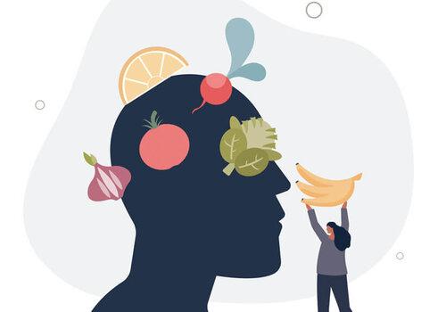 Illustration cerveau et aliments