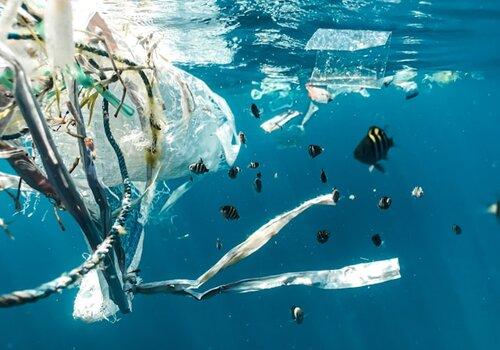 Image d'illustration pour l'atelier de Surfrider X MACIF