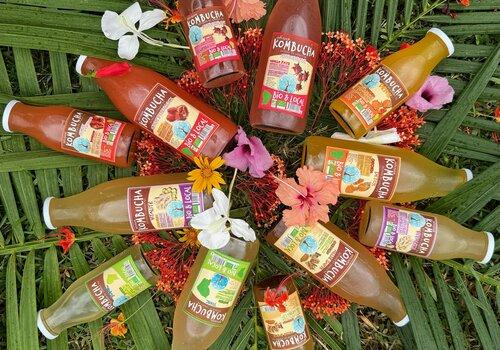 Nos Kombucha