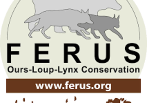 logo de l'association FERUS