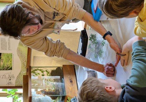 Le Vivarium du moulin