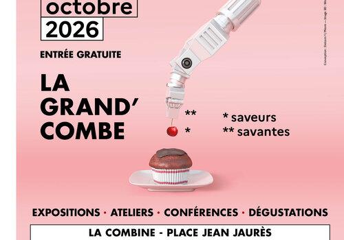la cerise sur le gateau