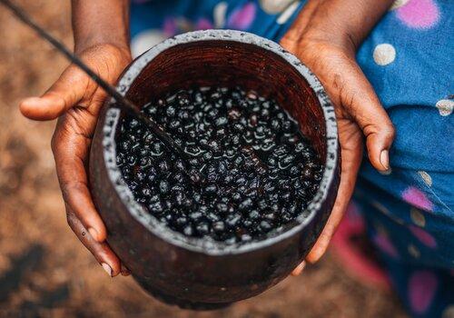 Açai dans un récipient