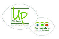 Logo structure 