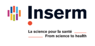 Logo INSERM