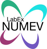 logo NUMEV