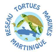 logo RTMM