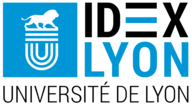 Logo IDEX Lyon