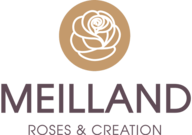 Roses Meilland - Antibes