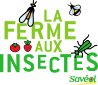 Notre élevage d'insectes "Savéol Nature", une initiative unique en Europe !