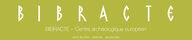 Bibracte