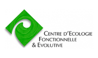 logo CEFE