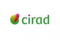 Logo Cirad