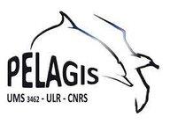 Observatoire Pelagis CNRS – La Rochelle Université