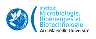 Institut de Microbiologie, Bioénergies et Biotechnologie