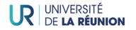 Logo Université de La Réunion