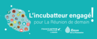 IERD-Incubateur engagé pour la Réunion de demain