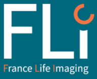 FLI 