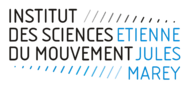 Logo ISM