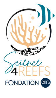 Fondation Science4Reefs