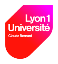 Logo Université Lyon 1