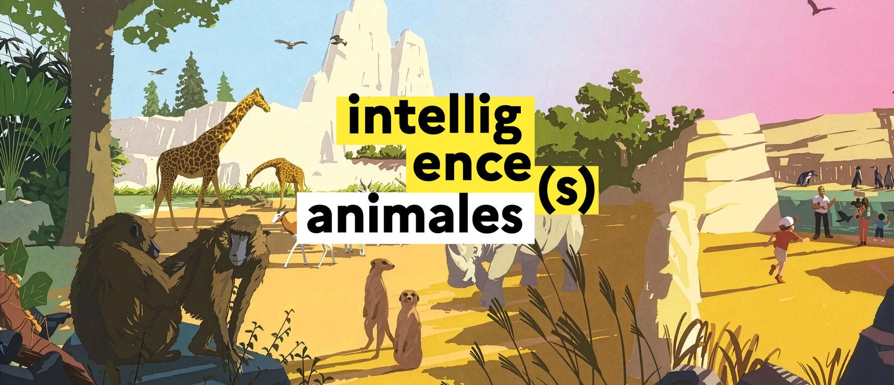 Jeu concours Intelligences animales