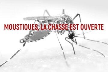 La Démoustication est l'affaire de tous! La suppression physique des gîtes à moustiques est une alternative respectueuse de l'environnement