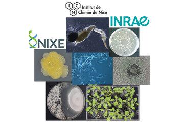 La réussite du partenariat INRAE-NIXE-ICN