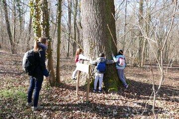 enfants qui enlacent un arbre dans la forêt de Holzxihr avec Delphine Etienne