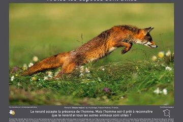 Exposition Biodiversité Tout est vivant